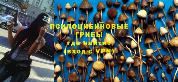 герыч Арсеньев