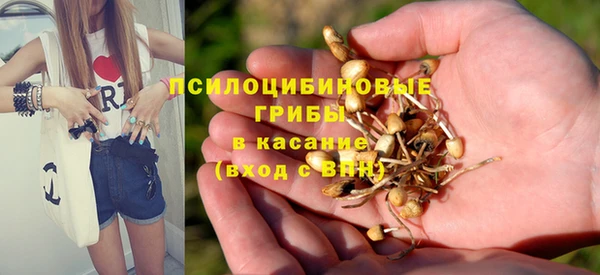 герыч Арсеньев