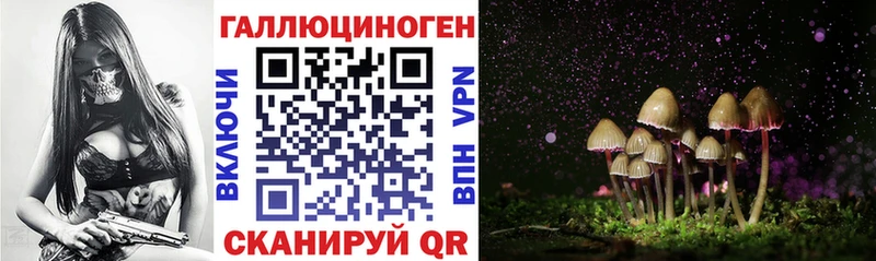 Псилоцибиновые грибы MAGIC MUSHROOMS  mega зеркало  Заозёрск 