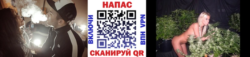 Шишки марихуана марихуана  Заозёрск 
